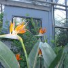 Botanischer Garten